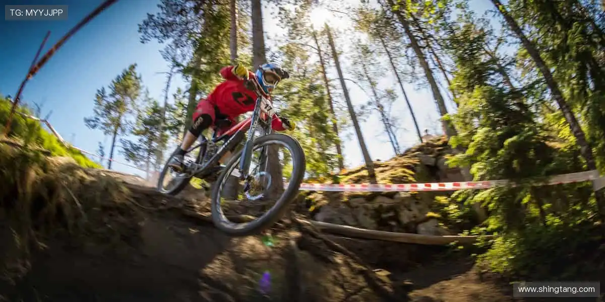 🏃 奔跑吧，用汗水书写属于你的传奇！✨