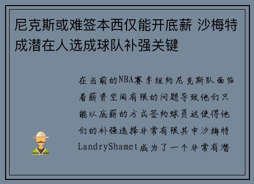 尼克斯或难签本西仅能开底薪 沙梅特成潜在人选成球队补强关键